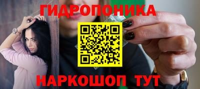 прущие грибы Ангарск