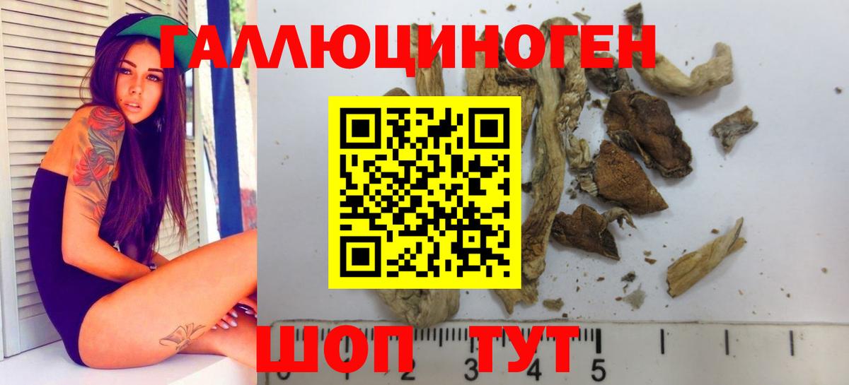 Острогожск  Галлюциногенные грибы GOLDEN TEACHER  Вход с VPN  Псилоцибиновые грибы Cubensis 